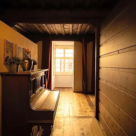 Apartament Fink *