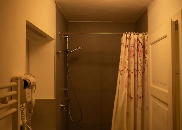 アパート レジデンス フィンク セントラル ボルツァーノ